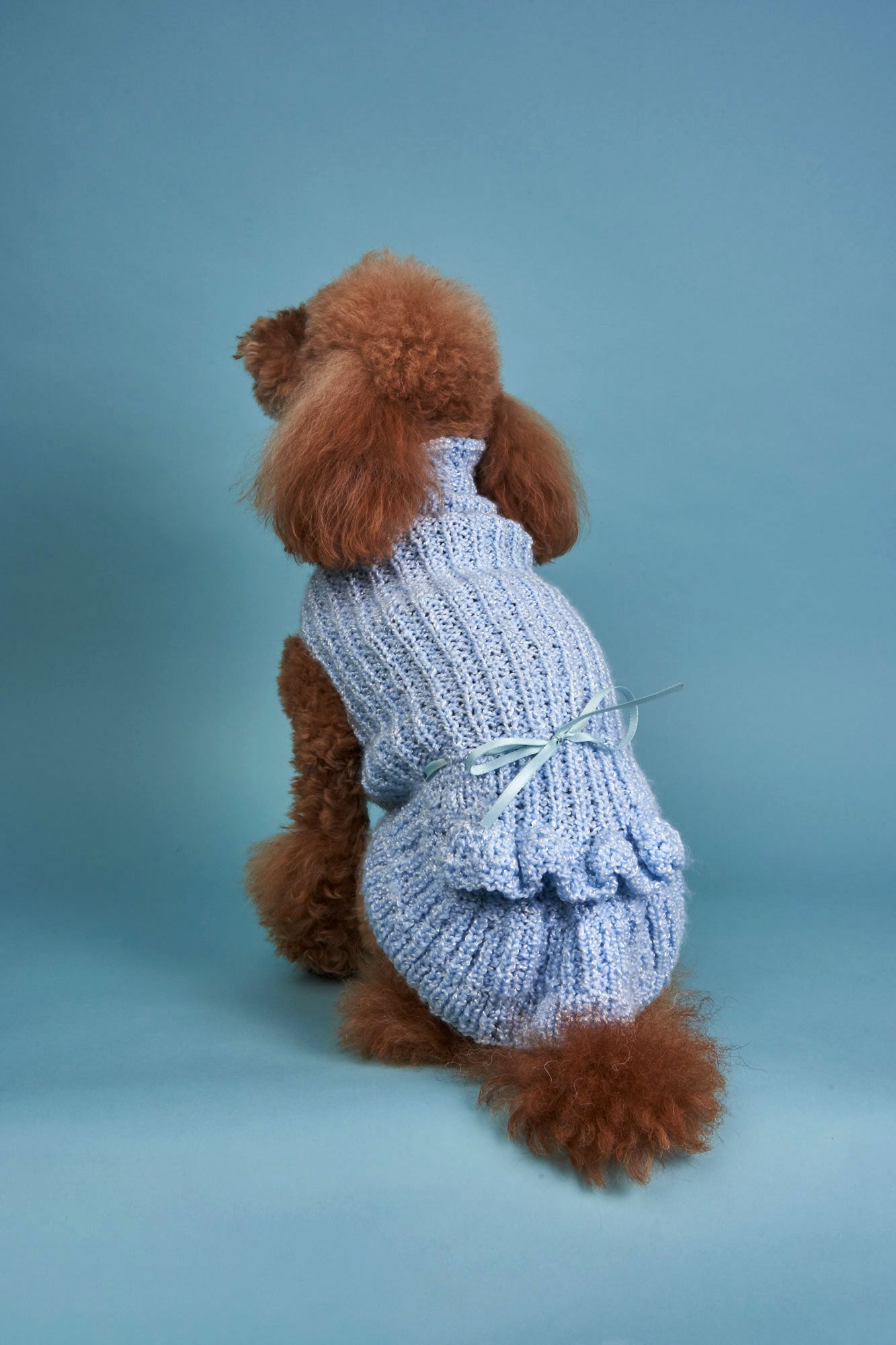 Periwinkle Ribbed Crochet Dog Sweater – MLE - Main Image